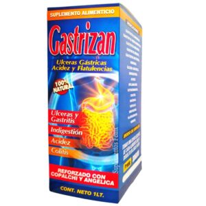Tonico Gastrizan Vida Natural